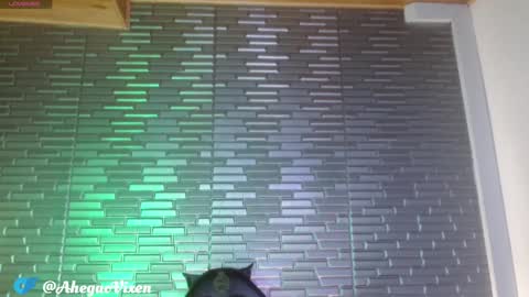 Ma -  online show from January 22, 9:10 pm