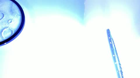 Snapshot of mike_256 chatting on February 2, 11:31 am Mike online show from February 2, 11:31 am