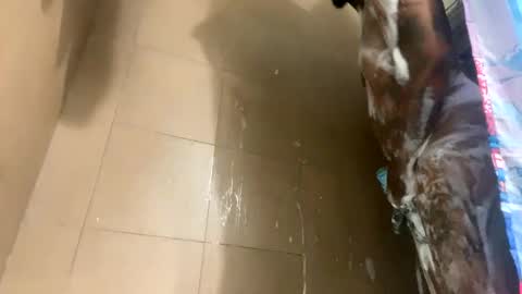 mikeyblunt online show from February 25, 1:28 pm