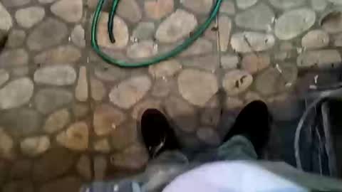 miky17cm online show from January 8, 4:04 am