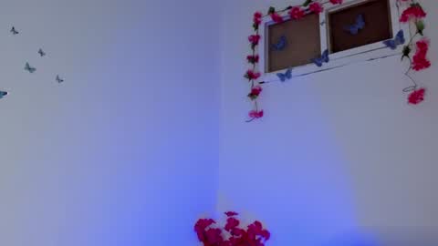 Snapshot of milan_d01 chatting on July 27, 12:56 pm Nice To Meet you Welcome here online show from July 27, 12:56 pm