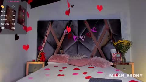 Milan  online show from February 14, 11:31 am