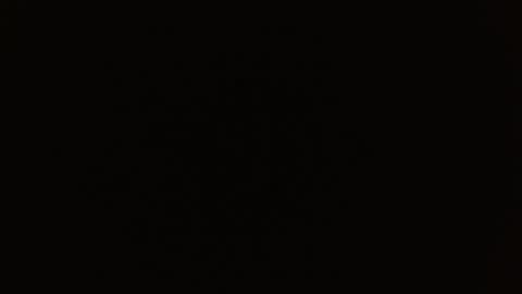 Rosalie  online show from December 19, 9:49 am