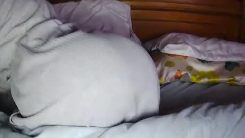 Snapshot of milfytitts chatting on October 16, 12:39 pm MilfyTitts online show from October 16, 12:39 pm