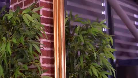 Milla online show from January 10, 7:54 am