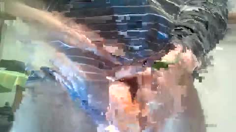  Milymen26  Polish man  master  fereskik straight mature online show from January 13, 11:32 pm