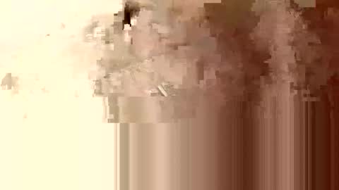 minniehunney online show from April 23, 8:24 am