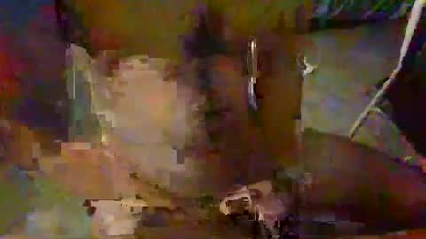 Snapshot of minoas31 chatting on December 9, 6:46 pm minoas31 online show from December 9, 6:46 pm