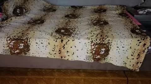 Snapshot of mirahardmanxx chatting on November 10, 12:37 pm Happy New Year online show from November 10, 12:37 pm