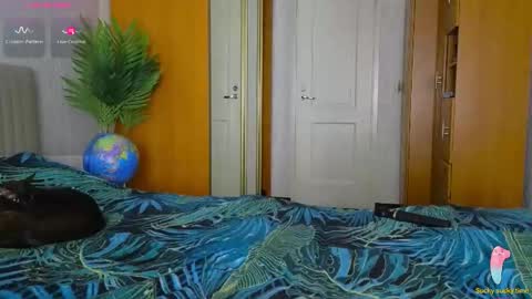 Laura online show from December 2, 10:09 am