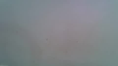 Snapshot of miss_rihanna2 chatting on February 4, 7:09 pm miss_rihanna2 online show from February 4, 7:09 pm