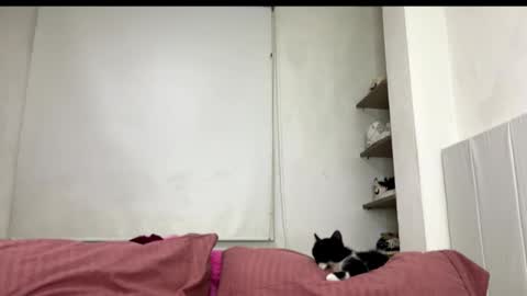 missangeldust online show from October 27, 11:52 pm