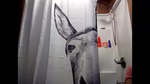 Snapshot of misseeva chatting on December 28, 2:01 am MissEeva online show from December 28, 2:01 am