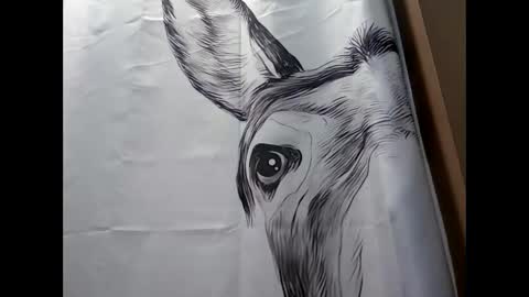 Snapshot of misseeva chatting on February 17, 9:41 pm MissEeva online show from February 17, 9:41 pm