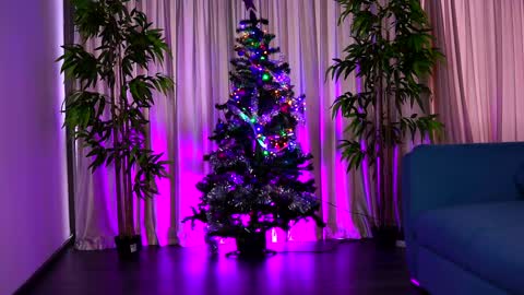 misskiarra online show from December 6, 7:43 am