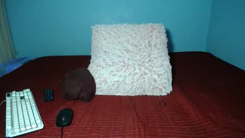 Snapshot of missmimmi69 chatting on May 21, 7:04 am mimmi online show from May 21, 7:04 am