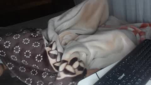 sarah online show from December 28, 4:30 am