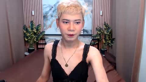 Snapshot of misstransstella69 chatting on August 5, 5:54 am Stella online show from August 5, 5:54 am