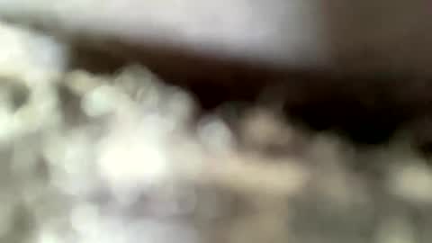 Snapshot of mistajay90 chatting on September 8, 4:06 pm mistajay90 online show from September 8, 4:06 pm