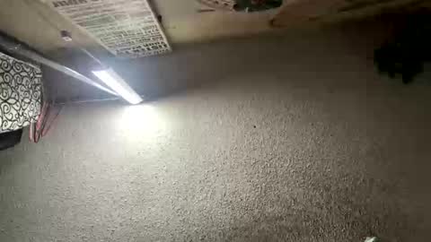 mister_nasty online show from January 12, 6:57 pm