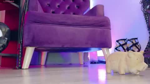 Jhadee online show from March 7, 11:02 pm