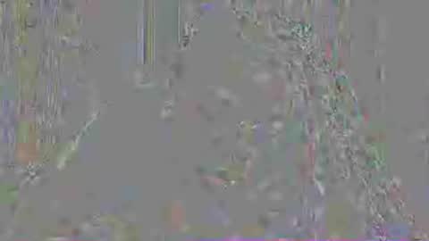 Snapshot of mistressmystii chatting on July 3, 3:02 am Mistress Mystii online show from July 3, 3:02 am