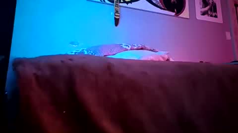 Daddy720 online show from March 22, 11:41 pm