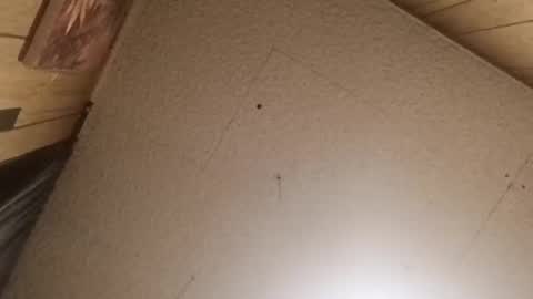 mjmichaelware online show from February 24, 6:55 am