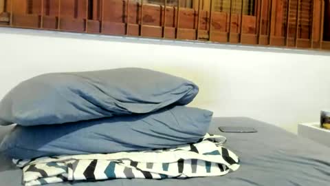 Snapshot of moderdelier chatting on December 24, 9:11 pm DigBreed online show from December 24, 9:11 pm