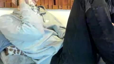 Snapshot of moderdelier chatting on November 9, 12:31 am DigBreed online show from November 9, 12:31 am