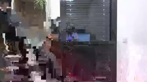 Julien online show from January 24, 11:26 am