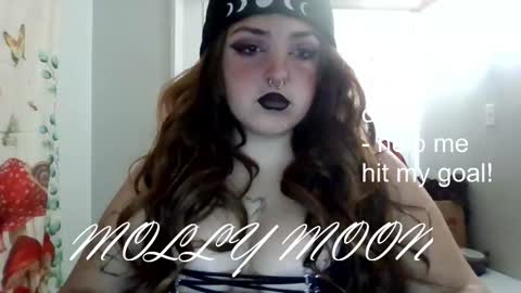 Snapshot of molly_moonxxx chatting on November 25, 3:12 pm molly_moonxxx online show from November 25, 3:12 pm