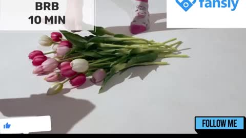 Mommy online show from January 22, 5:16 am