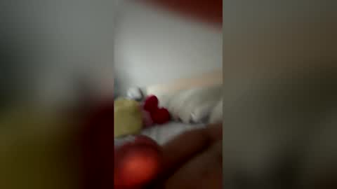 monchito88 online show from June 5, 11:27 am