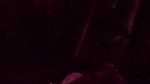 Snapshot of montydxxx2 chatting on September 14, 3:05 am montydxxx2 online show from September 14, 3:05 am