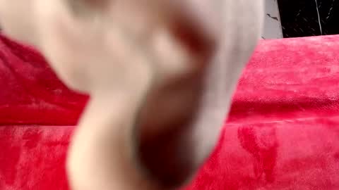 Snapshot of moolly_evanz chatting on February 4, 2:34 pm moolly_evanz online show from February 4, 2:34 pm