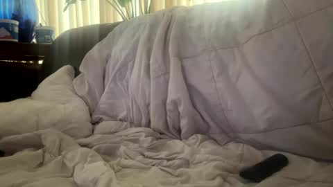 Mitchell online show from November 21, 4:38 pm