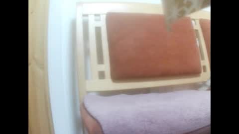 moos1 online show from March 2, 2:47 am