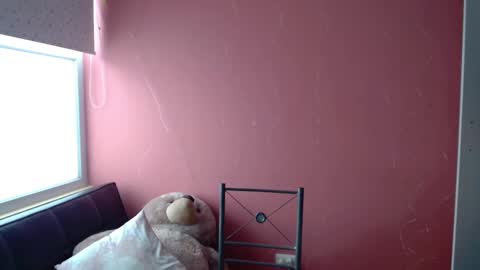 Mora Haze 3 online show from February 24, 9:52 pm