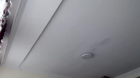 Abelardo online show from October 29, 3:03 pm