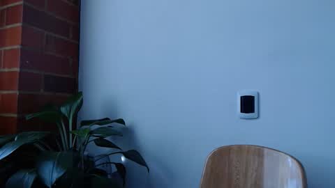 Abelardo online show from March 20, 6:13 pm