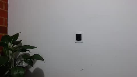 Abelardo online show from April 6, 4:57 am