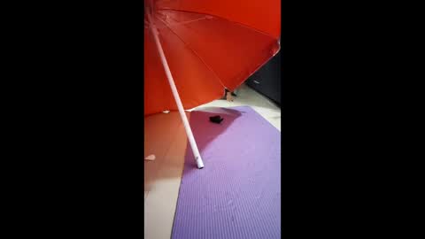 Snapshot of morbucksrica chatting on February 15, 3:25 am morbucksrica online show from February 15, 3:25 am