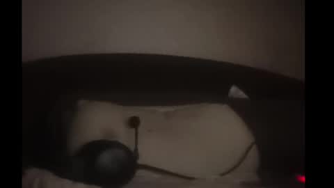 John john online show from April 15, 2:51 am