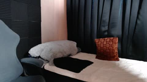 Snapshot of morenojake chatting on April 16, 2:34 am morenojake online show from April 16, 2:34 am