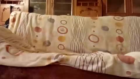 Snapshot of mospeleu chatting on December 11, 8:04 am Nomadu online show from December 11, 8:04 am