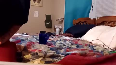 Snapshot of mottsmuff chatting on February 4, 8:24 am B online show from February 4, 8:24 am