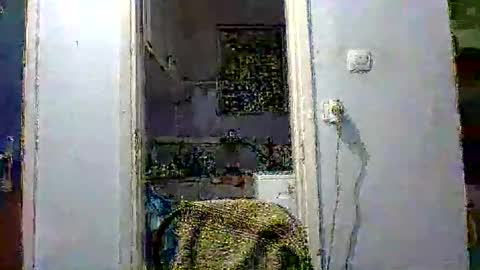 mppempis81 online show from December 2, 7:31 pm