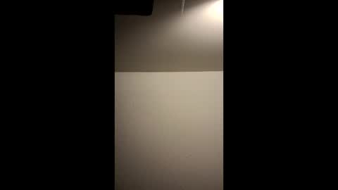 mr300311079702960 online show from April 23, 6:03 am