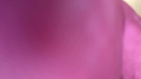 mr6ray online show from January 8, 3:40 am